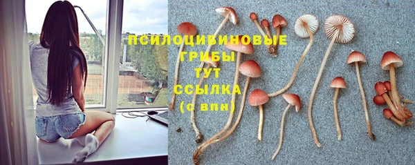 прущие крисы Абаза