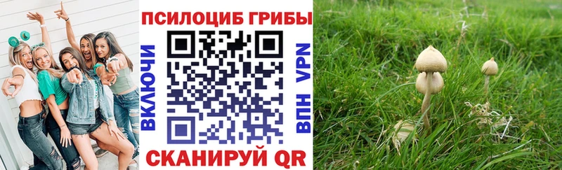 Галлюциногенные грибы MAGIC MUSHROOMS  Катайск 