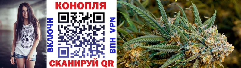 МАРИХУАНА планчик  где продают наркотики  Катайск 